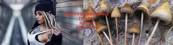 Альфа ПВП Белоозёрский