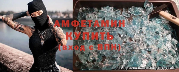 прущие грибы Баксан