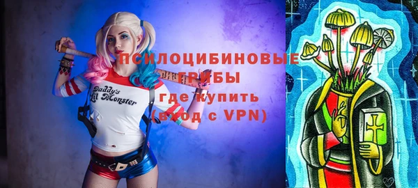 прущие грибы Баксан